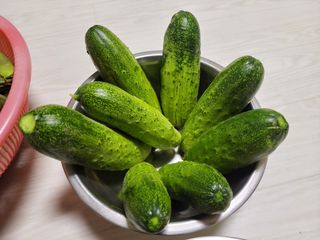 원빈님의 작성글 사진