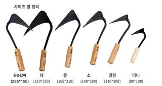 아시아종묘님의 자유주제 · 자유게시판 작성글 사진