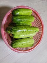 팜모닝 · 게시글 이미지