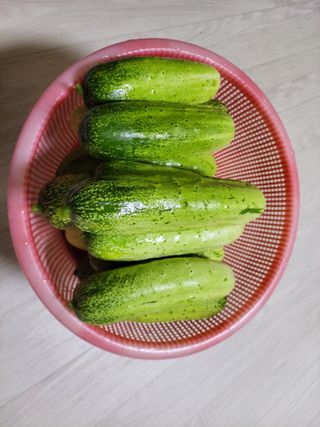 원빈님의 작성글 사진