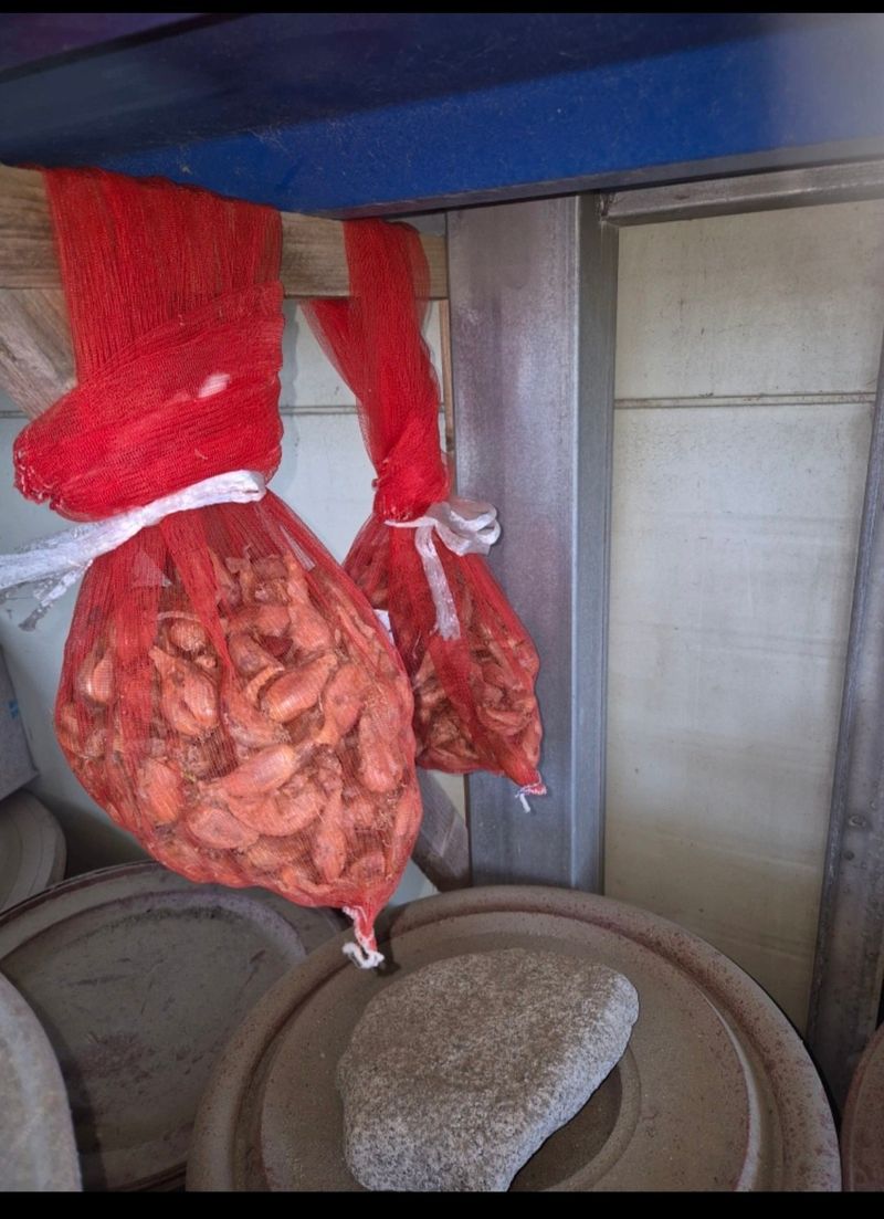 장터 상품 [쪽파씨2kg] 썸네일