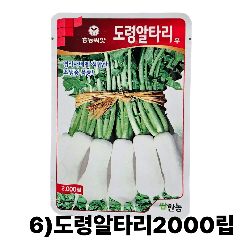 대산농사대장님의 장터 판매 상품 [동오시드 통일김장무 씨앗 15g 약 천립] 첨부 사진