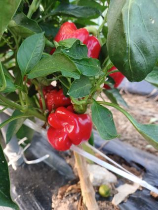 이정민님의 자유주제 · 자유게시판 작성글 사진