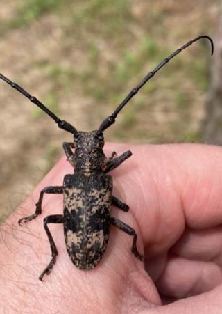김종명님의 자유주제 · 자유게시판 작성글 사진