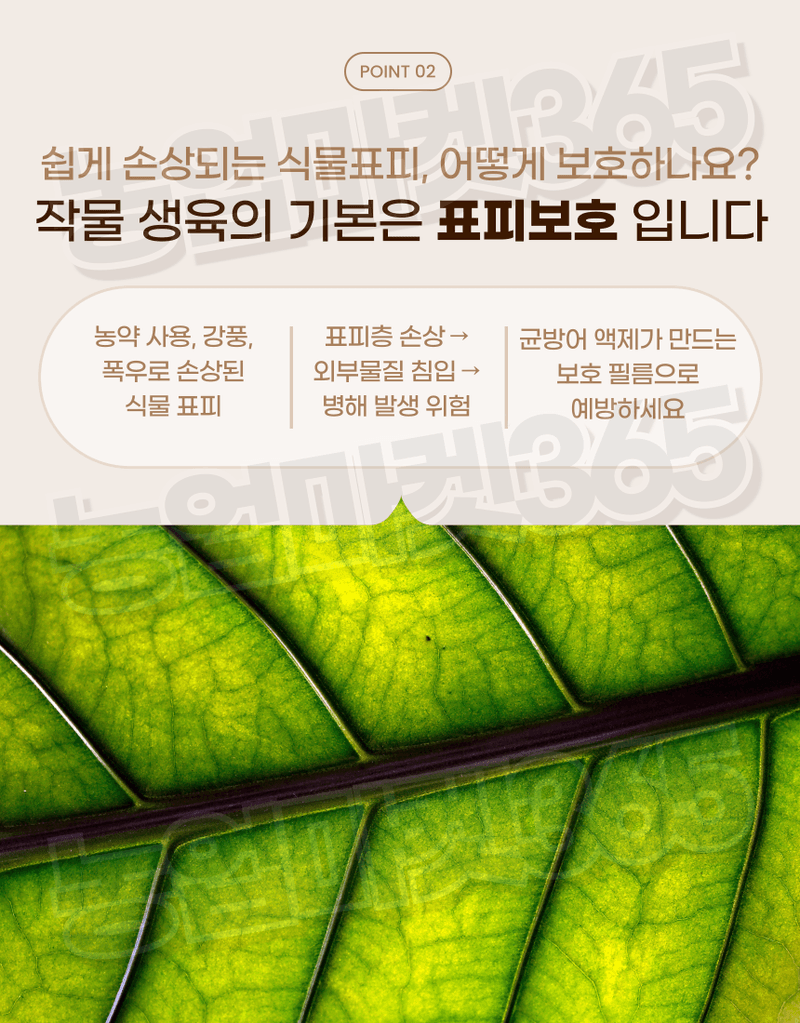 농업마켓365님의 장터 판매 상품 [농업마켓365 융전 균방어 액제 500ml 남아프리카 천연왁스 식물보호 약제부착 외부침입저항 식물표피보호 거품제거] 첨부 사진