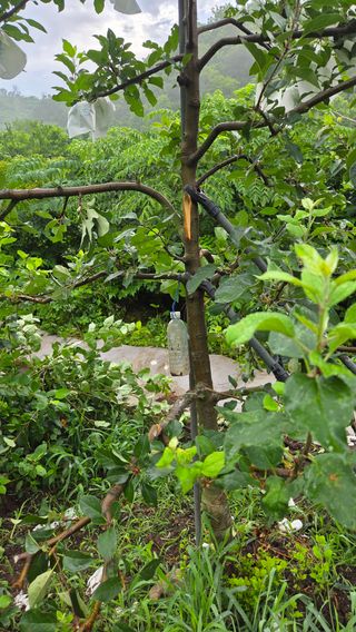 별자리님님의 농사, 무엇이든 물어보세요! · 참여글 작성글 사진