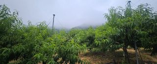 종합선물세트님의 자유주제 · 자유게시판 작성글 사진