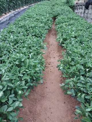 정금천님의 자유주제 · 자유게시판 작성글 사진