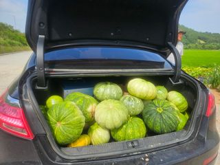 보리수치유농장님의 자유주제 · 자유게시판 작성글 사진