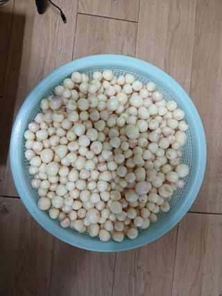 조한솔님의 작성글 사진