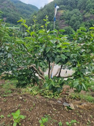 김용대님의 자유주제 · 자유게시판 작성글 사진