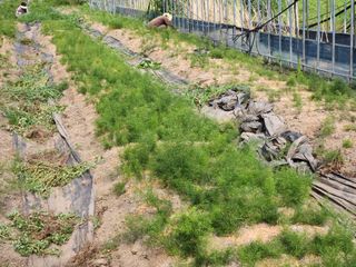 이창신님의 자유주제 · 자유게시판 작성글 사진