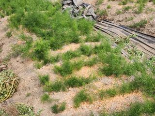 이창신님의 자유주제 · 자유게시판 작성글 사진