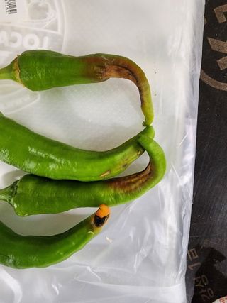 유덕용님의 자유주제 · 자유게시판 작성글 사진