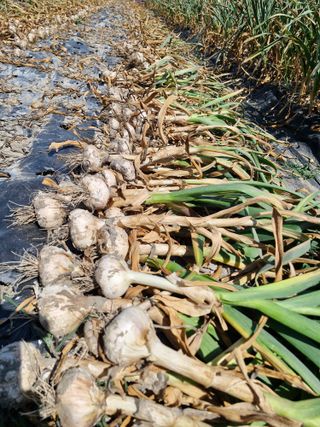 문제민님의 작성글 사진