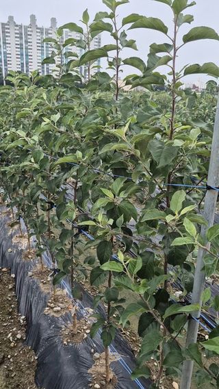 우리농원님의 자유주제 · 자유게시판 작성글 사진