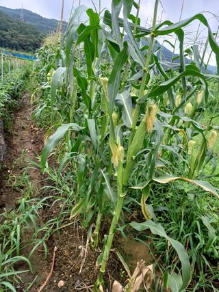 이정민님의 자유주제 · 자유게시판 작성글 사진