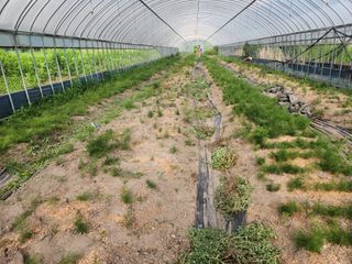 이창신님의 자유주제 · 자유게시판 작성글 사진