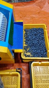 팜모닝 자유주제·자유게시판 게시글 이미지