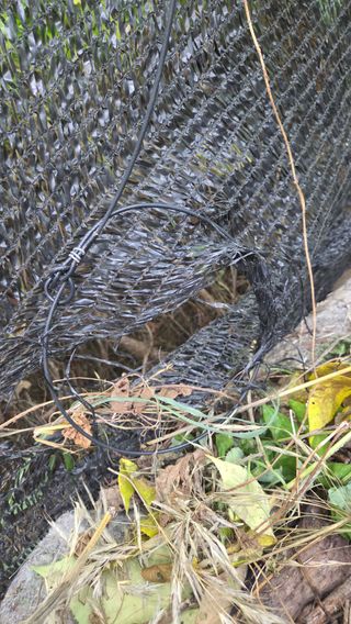 별자리님님의 농사, 무엇이든 물어보세요! · 참여글 작성글 사진