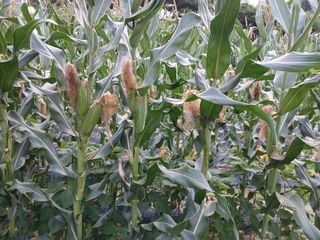 권태징님의 자유주제 · 자유게시판 작성글 사진