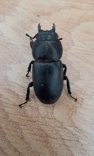 김종명님의 자유주제 · 자유게시판 작성글 사진