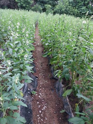 정금천님의 자유주제 · 자유게시판 작성글 사진