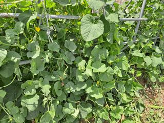 이정민님의 자유주제 · 자유게시판 작성글 사진