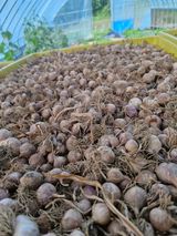 팜모닝 · 게시글 이미지