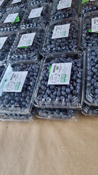 김현숙 블루베리 작두콩님의 자유주제 · 자유게시판 작성글 사진