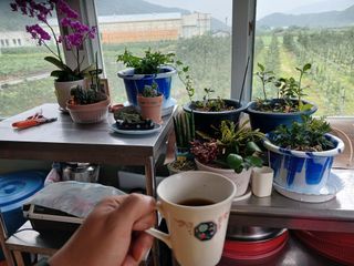 알 수 없음님의 자유주제 · 자유게시판 작성글 사진