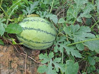 이정민님의 자유주제 · 자유게시판 작성글 사진