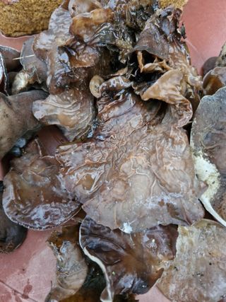 김태연님의 자유주제 · 자유게시판 작성글 사진