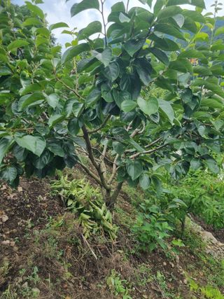 김용대님의 자유주제 · 자유게시판 작성글 사진