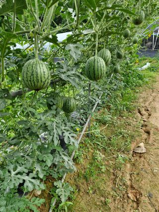 문제민님의 자유주제 · 자유게시판 작성글 사진