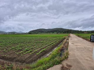김영진(전남영광)님의 자유주제 · 자유게시판 작성글 사진