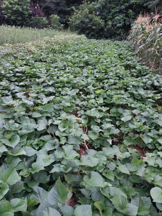 정금천님의 자유주제 · 자유게시판 작성글 사진