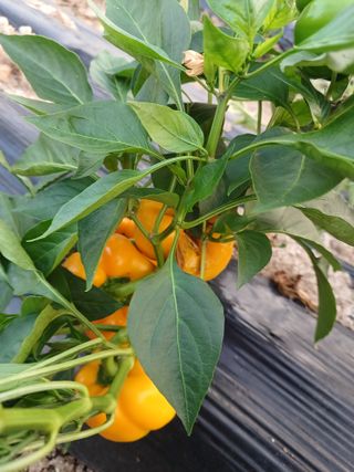 이정민님의 자유주제 · 자유게시판 작성글 사진