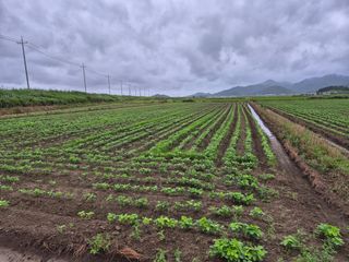 김영진(전남영광)님의 자유주제 · 자유게시판 작성글 사진