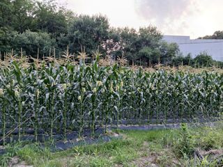 권태징님의 자유주제 · 자유게시판 작성글 사진