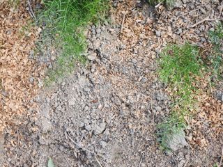 이창신님의 자유주제 · 자유게시판 작성글 사진