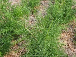 이창신님의 자유주제 · 자유게시판 작성글 사진