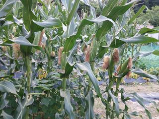 권태징님의 자유주제 · 자유게시판 작성글 사진