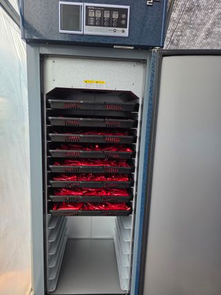 _고성농장님의 자유주제 · 자유게시판 작성글 사진