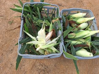 이정민님의 자유주제 · 자유게시판 작성글 사진