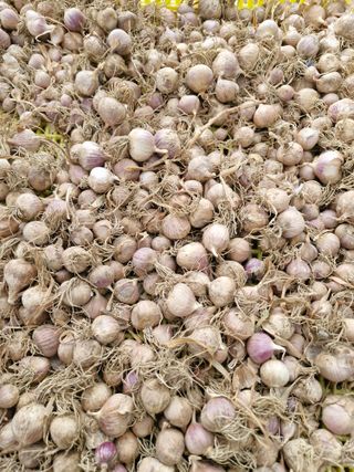 문제민님의 자유주제 · 자유게시판 작성글 사진