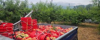 종합선물세트님의 자유주제 · 자유게시판 작성글 사진