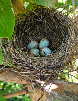 ogapiall님의 자유주제 · 자유게시판 작성글 사진