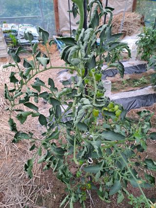 합천SOON님의 자유주제 · 자유게시판 작성글 사진