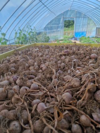 문제민님의 작성글 사진